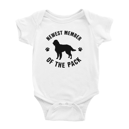 

Newest Member of The Pack French Spaniel Dog Cute Baby Romper Boy Girl