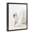thumbnail image 2 of Stupell Industries Transitional White Swan in Repose Black Floating Frame Canvas Art, 17 x 21, by Sara Baker, 2 of 8