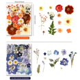 thumbnail image 2 of Flores prensadas para moldes de resina Nisetten 110+PCS Colorful-C, 2 of 5