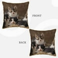 thumbnail image 3 of Kll Cat Family Decorative Throw Pillow Covers Velvet Soft For Couch Sofa Bedroom Living Room Outdoor -18"X18", 3 of 8