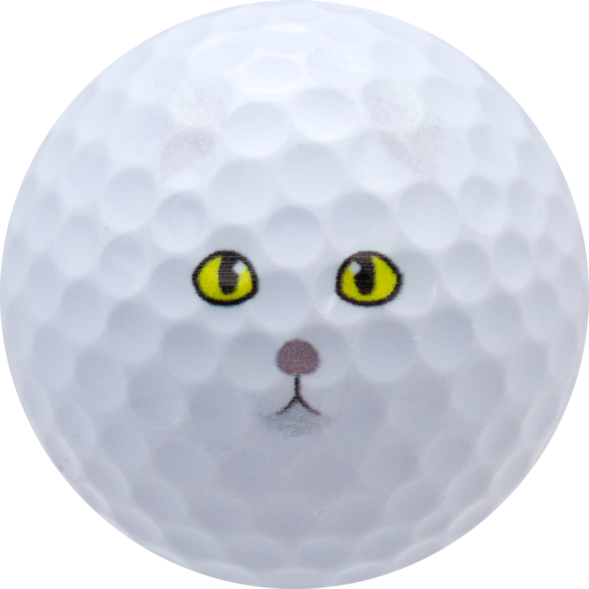 Cat Lover Golf Balls, 12 Pack by GBM GOLF