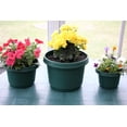 thumbnail image 7 of Austin Planter 12 inch Single Flower Pot and Saucer, Hunter Green, 7 of 7
