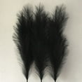 thumbnail image 4 of Faux Pampas Grass 3 Stems, Artificial Pampas Grass - 32 inch Total Pompass Grass Tall Pompous Boho Flower Arrangement and Floor Vase Filler Home Decor for Room Wedding Party (Black), 4 of 6