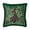Magic Potions, variant on Wicked Faux Fur Decorative Pillow, 22"x22"