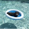 thumbnail image 1 of Caramelos inflables flotantes para mascotas para perros pequeños y medianos, 1 of 8