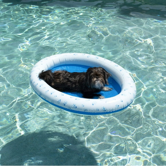 Caramelos inflables flotantes para mascotas para perros pequeños y medianos