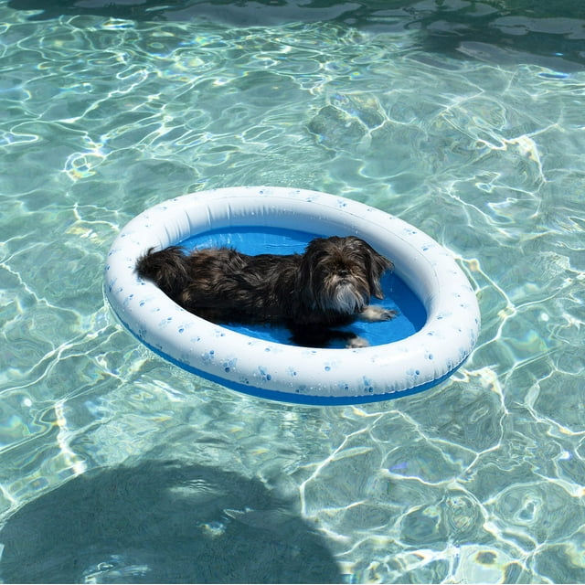 Caramelos inflables flotantes para mascotas para perros pequeños y medianos