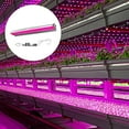 thumbnail image 3 of Sunjoy Tech High Brightness Nursery Lights Promote Growth Long Service Life 400-830nm Spectrum LED Plant Lamp Gardening Tools, 3 of 8