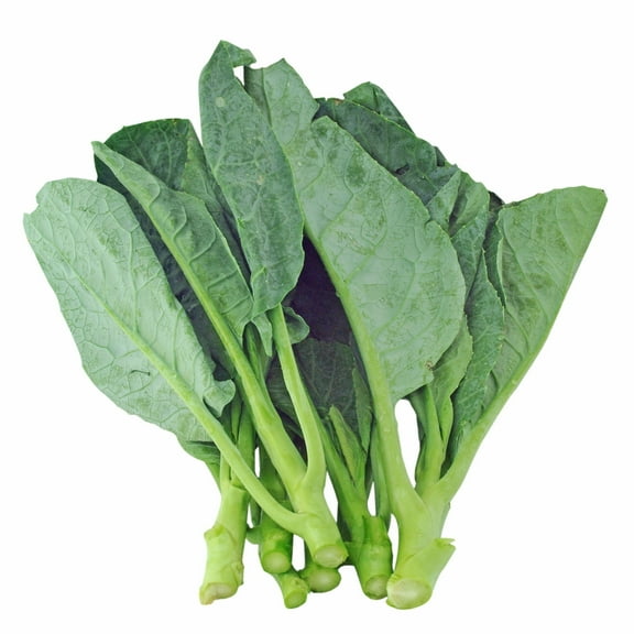 Chinese Cabbage Seeds - Wan Shen - 3 g Packet ~816 Seeds - Non-GMO, Heirloom - Asian Garden Vegetable & Microgreens