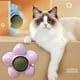 thumbnail image 4 of 2025 Nuevo Chew Juguetes para Gatos Lick Dientes Limpieza Gato Juguetes Pared, 4 of 4