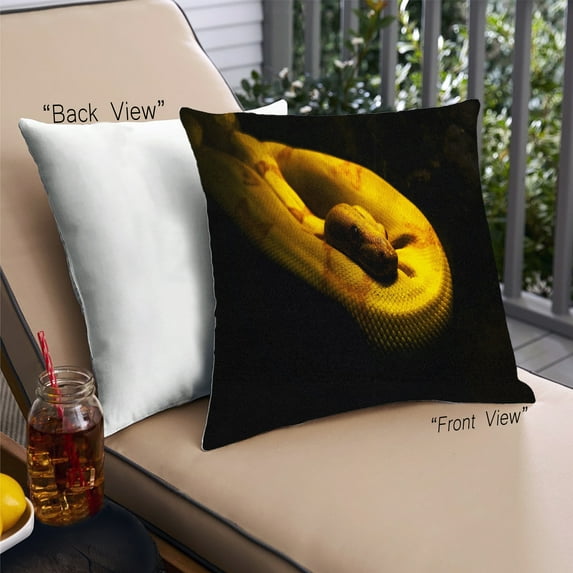 Ahgly Company Animals Snake Outdoor Throw Pillow, 18 inch by 18 inch