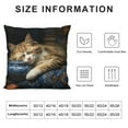thumbnail image 5 of JEUXUS I Work Hard So My Cat Can Have A Better Life Funny Cat Throw Pillow Cover,Decorative Pillowcase for Home Sofa Couch Bed,Home Bedroom Girls Room Decor,Gift for Cat Lovers Girls Women, 5 of 5