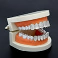 thumbnail image 3 of Juego de chapado en oro blanco de 18 quilates, parrillas de hip hop, tapas de dientes en la parte inferior con circón compl Zulema Enjuagues bucales con dientes en la boca, 3 of 8