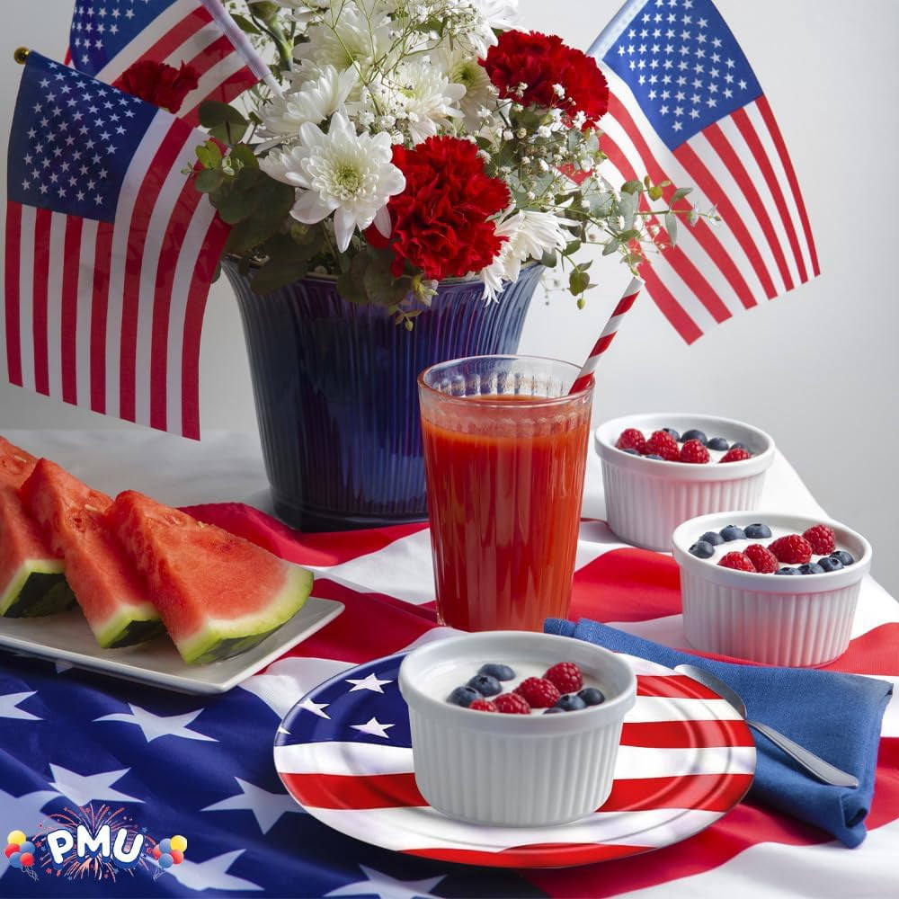 PMU Patriotic Stars and Stripes American Flag 9-Inch Dessert Plates, Patriotic Party Tableware (8/pkg) Pkg/6
