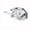 Clear, variant on Hat Hooks for Wall, Baseball Cap Organizer Adhesive Hat Hooks, No Drilling Hat Rack Holder for Caps Storage, Wall Mount Hat Holder for Entryway Bedroom Closet Door Showcase Display