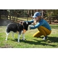 thumbnail image 5 of Sawyer Products SP624 Permethrin, Permethrin for Dogs Insect Repellent Treatment, Trigger Spray, 24-Ounce, 5 of 7