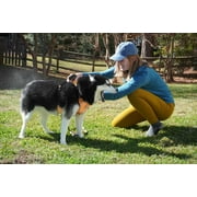 Sawyer Products SP624 Permethrin, Permethrin for Dogs Insect Repellent Treatment, Trigger Spray, 24-Ounce