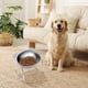 thumbnail image 5 of Cuenco elevado de acero inoxidable para gatos y perros, plato de agua y comida antideslizante de borde ancho, estación de alimentación elevada con base robusta, diseño ergonómico para una mejor, 5 of 6