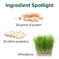 thumbnail image 3 of Vibrant Health, Maximum Vibrance, Plant-Based Meal Replacement Rich with Vitamins, Minerals, Antioxidants, and Protein, Gluten Free, Vegetarian, Non-GMO, Chocolate Chunk, 15 Servings, 3 of 9