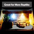 thumbnail image 3 of Alfombra para Reptiles Mechpia 120x60 cm Suave y Duradera Gris, 3 of 7