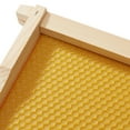 thumbnail image 3 of Honey Keeper 10 Assembled Beehive Frames with Waxed Natural Foundations for Beekeeping, 6-1/4 inch, 3 of 6