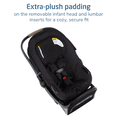 thumbnail image 4 of Maxi-Cosi Ambra Infant Car Seat, 4 of 9