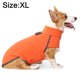 thumbnail image 2 of Ropa para perros en otoño e invierno Jersey de felpa de cuello alto MFZFUKR BST2000997-6, 2 of 6
