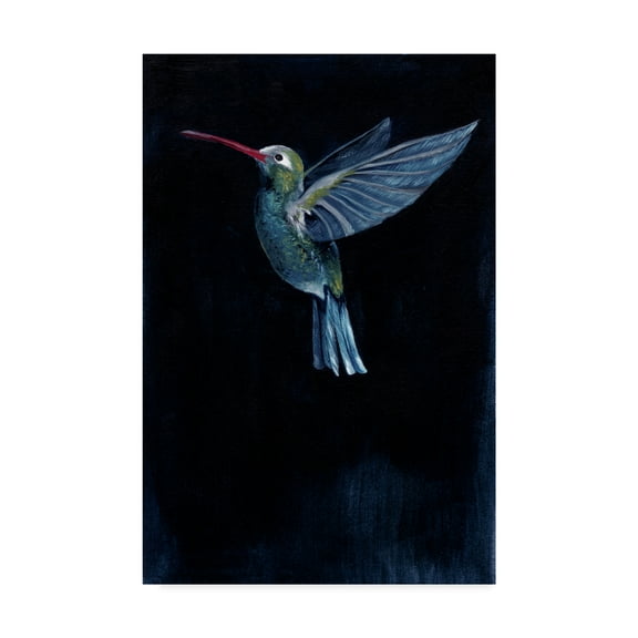 Trademark Fine Art 'Mountain Gem I' Canvas Art by Grace Popp