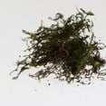 thumbnail image 4 of DOLITY Sphaigne Sèche 500g/1000g Literie pour Animaux Reptiles Literie pour Sols Forestiers 1000G, 4 of 9