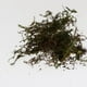 thumbnail image 4 of Anfibios Traje de natural para ranas Tortugas Decoración de 1000G Yuyangstore Musgo verde natural reptil, 4 of 8