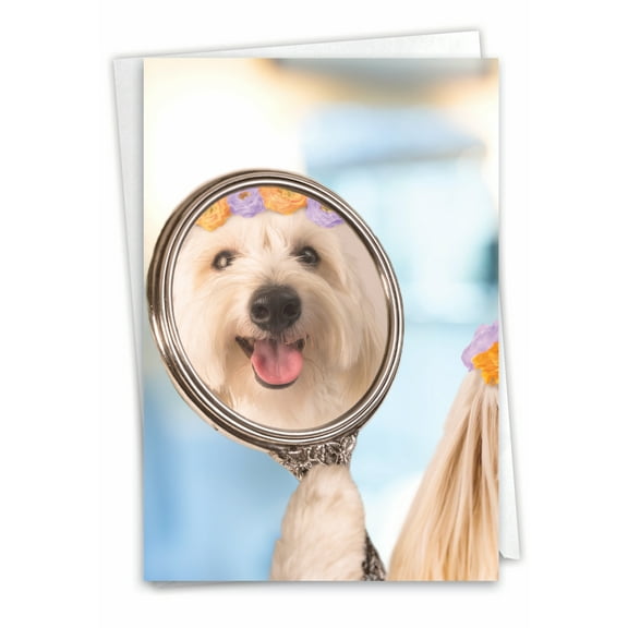 1 Funny Birthday Card with Envelope - Fairest Dog C3214BDG