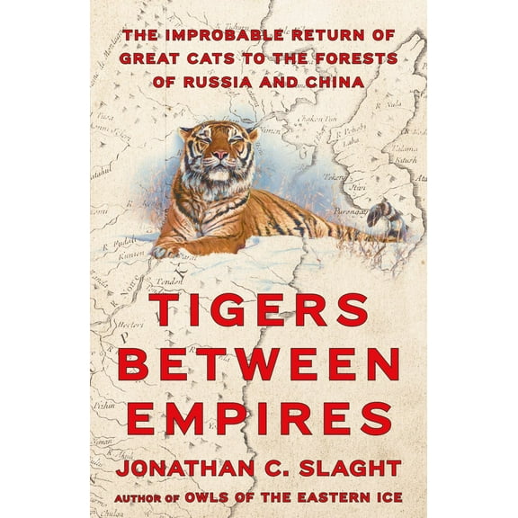 Tigers Between Empires: The Improbable Return of Great Cats to the Forests of Russia and China (Hardcover)