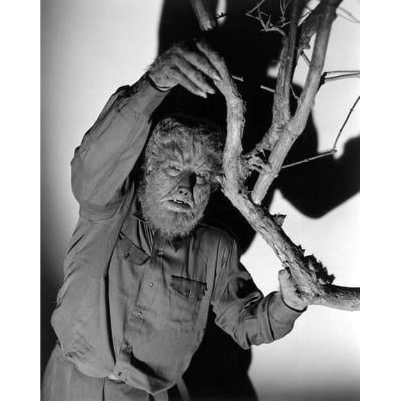 Bad Dog Posters Wolfman The Movie Poster 11inx17in Art Poster 11x17 Multi-Color Square Adults