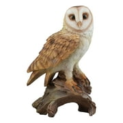 Ebros Realistic Nature Wildlife Common Barn Owl Perching On Tree Stump Statue 13.75"Tall Lifelike Nocturnal Owl Taxidermy With Glass Eyes Figurine