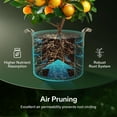 thumbnail image 3 of VIVOSUN 5-Pack 15 Gallon Brown Grow Bag, Fabric Pot with Handles for Vegtables and Plants, 3 of 7