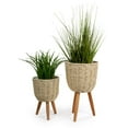 thumbnail image 1 of Truu Design Decorative Woven Paper Planter Set with Wooden Legs, 1 of 6