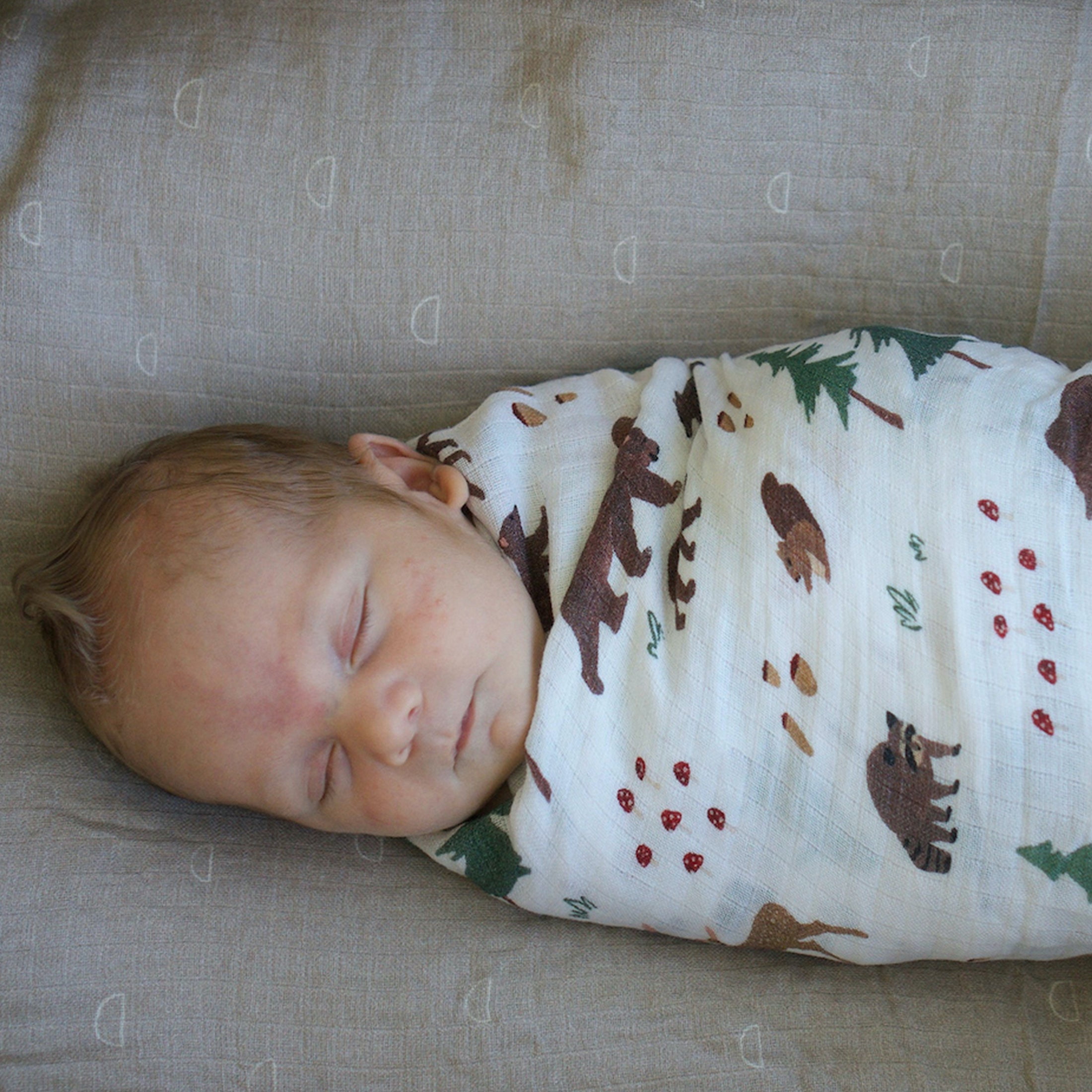 Red Rovr 100% Organic Cotton Muslin Infant Swaddle Blanket, Large, Unisex, Bear Buddies