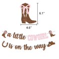 thumbnail image 2 of Banner para baby shower DOMOO OF DREAMS vaquera rosa con brillo, 2 of 6