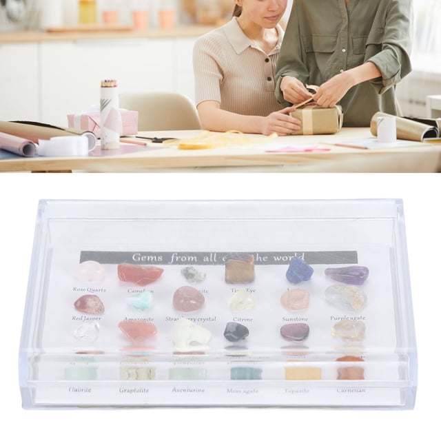 Mineral Rock Collection Kit Fun and Educational for Kids Clear Display Case Included