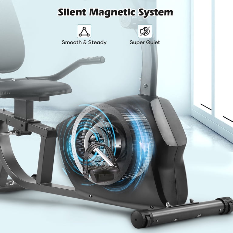 Naipo Recumbent Exercise Bike, 300 lb Capacity, 8-Level Resistance photo 4