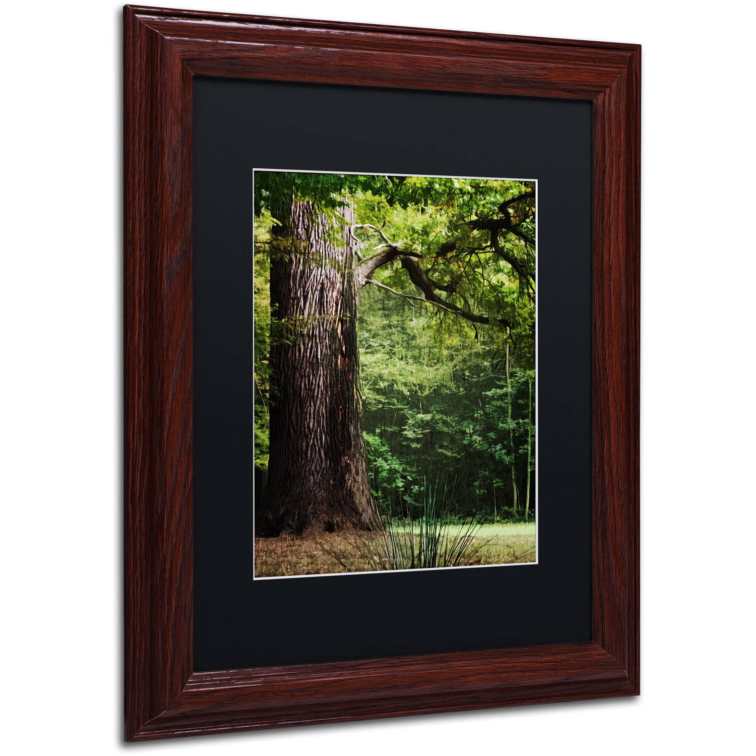 Trademark Fine Art "The old Trunk" Canvas Art by Philippe Sainte-Laudy Black Matte, Wood Frame
