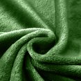 thumbnail image 2 of Lux Decor Collection Baby Blanket - Fluffy Fleece Blanket for Baby, Toddlers, Infant and Newborn - Super Soft, Warm & Cozy Blankets (30x40, Green), 2 of 5