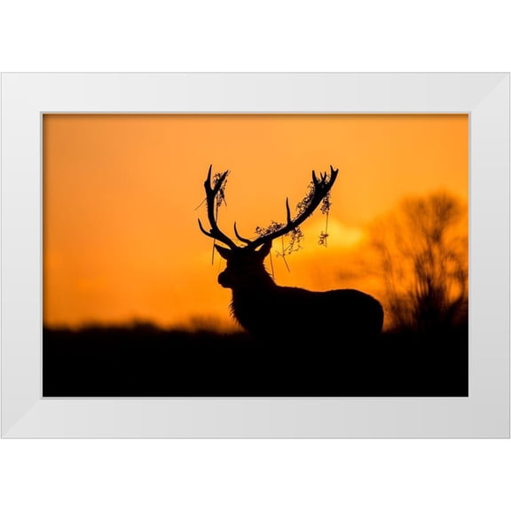Harling, Stuart 14x11 White Modern Wood Framed Museum Art Print Titled - Red Deer Stag Silhouette