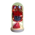 thumbnail image 3 of GeBuSn 1PC Valentine's Day Floral Night Light Suitable For Holiday Lighting And Celebration A For And Lovers (A), 3 of 8