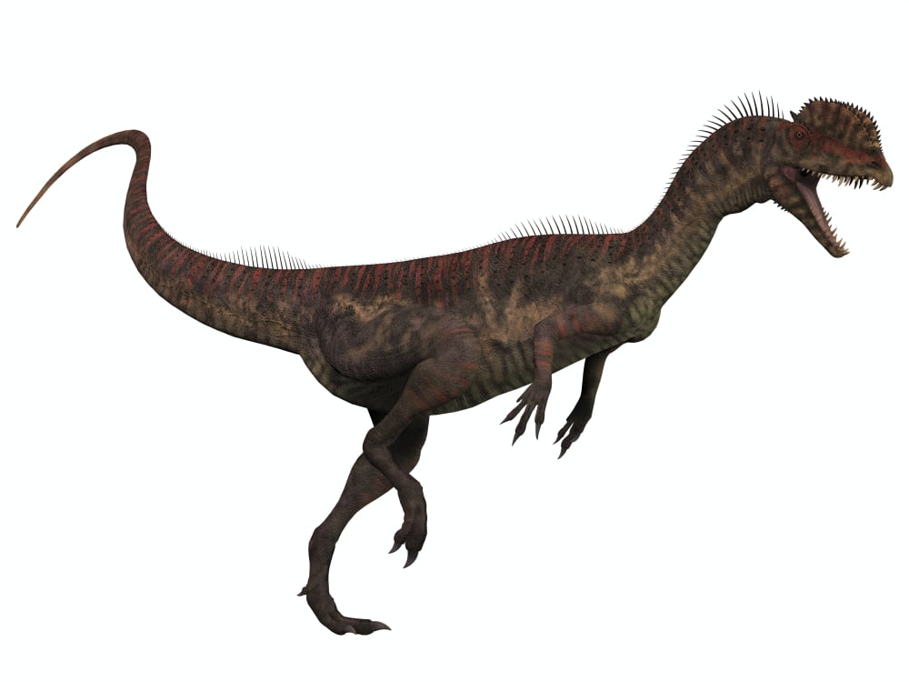 dinosaur with two crests on head