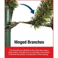 thumbnail image 3 of National Tree PEJF1-302LD-75 Jersey Frasier Fir Medium Hinged Tree , 7.5 ft., 3 of 4