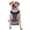 Without Accessories, variant on Vsdgher Violet Glitter Pattern Dog Harness,No Pull Pet Harness with Soft Padded Handle,Adjustable Reflective Vest with 2 Buckles,4 Slide Buckles,S-XL Medium