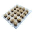 thumbnail image 2 of 20 Pack Artificial Miniature Model Grass Tuft Static Grass Bushy Tufts Nylon for Train Railway Landscape Handcraft, 2 of 8