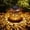 FENGNIAO, variant on Fohil Butterfly Solar Lanterns Outdoor Metal Waterproof Hanging Solar LED Lights, Gifts for Mom Grandma Women
