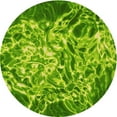 thumbnail image 1 of Ahgly Company Machine Washable Indoor Round Transitional Forest Green Area Rugs, 4' Round, 1 of 7
